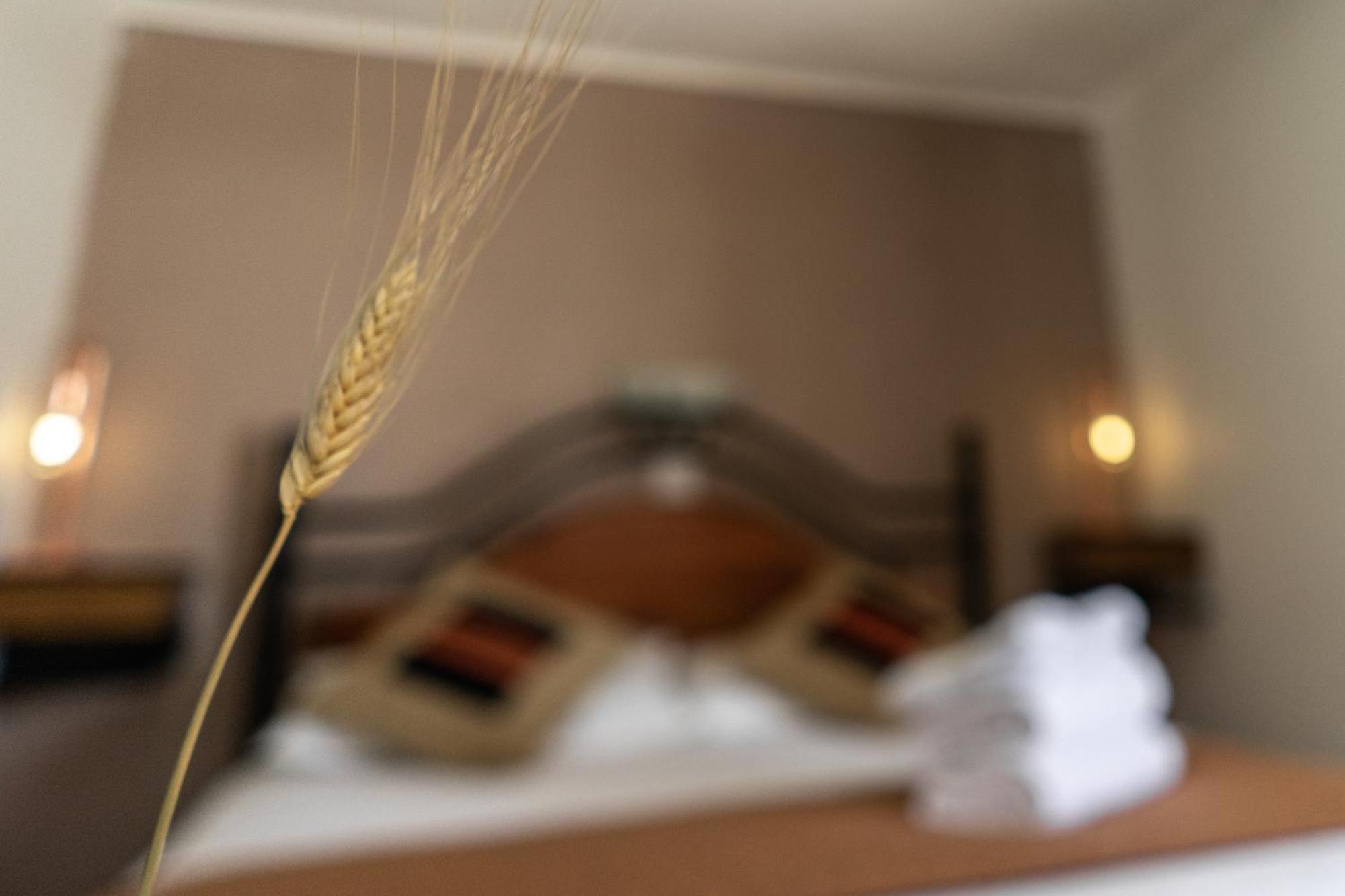 Hostal Katarpe San Pedro De Atacama Zewnętrze zdjęcie