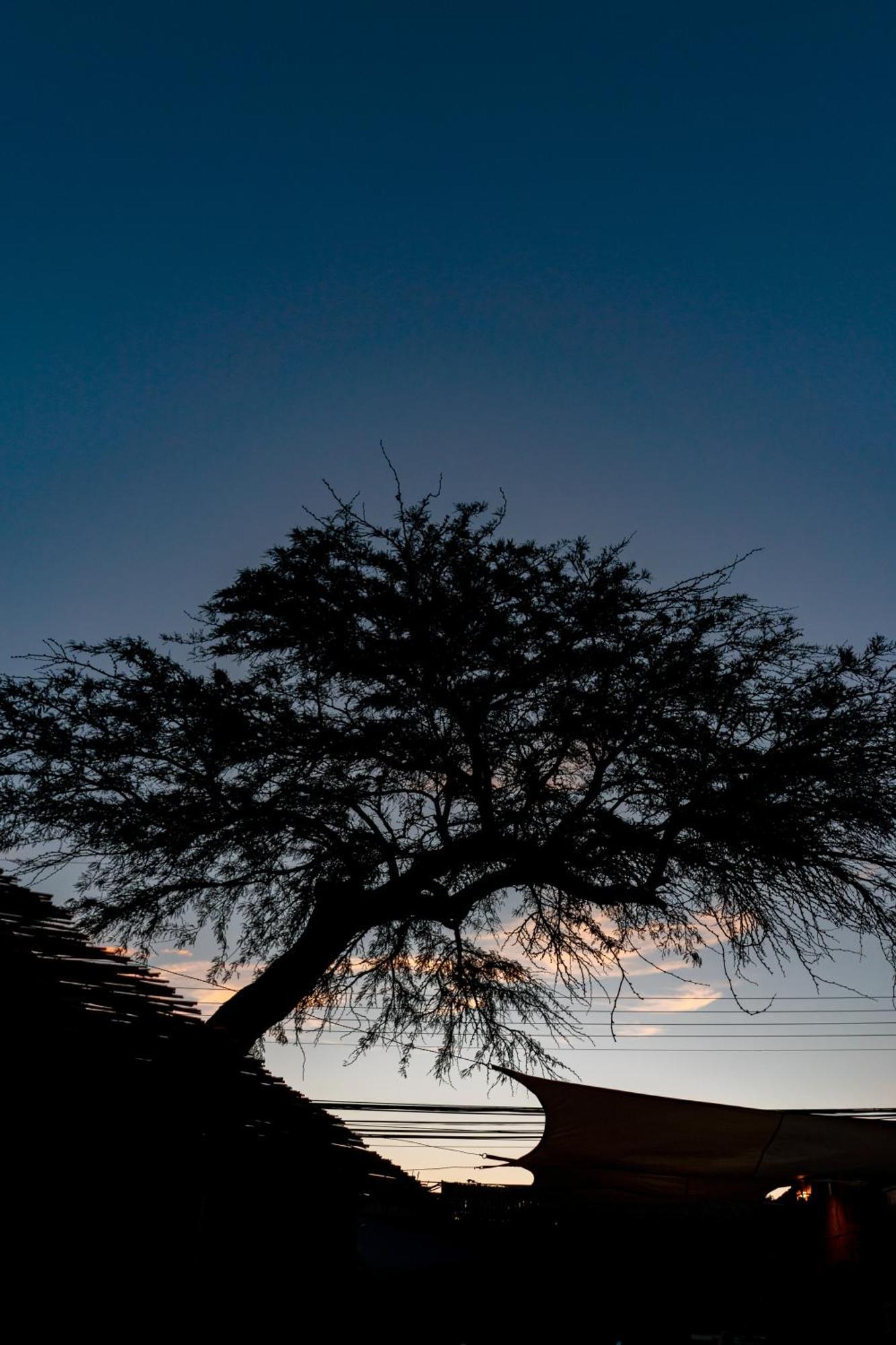 Hostal Katarpe San Pedro De Atacama Zewnętrze zdjęcie