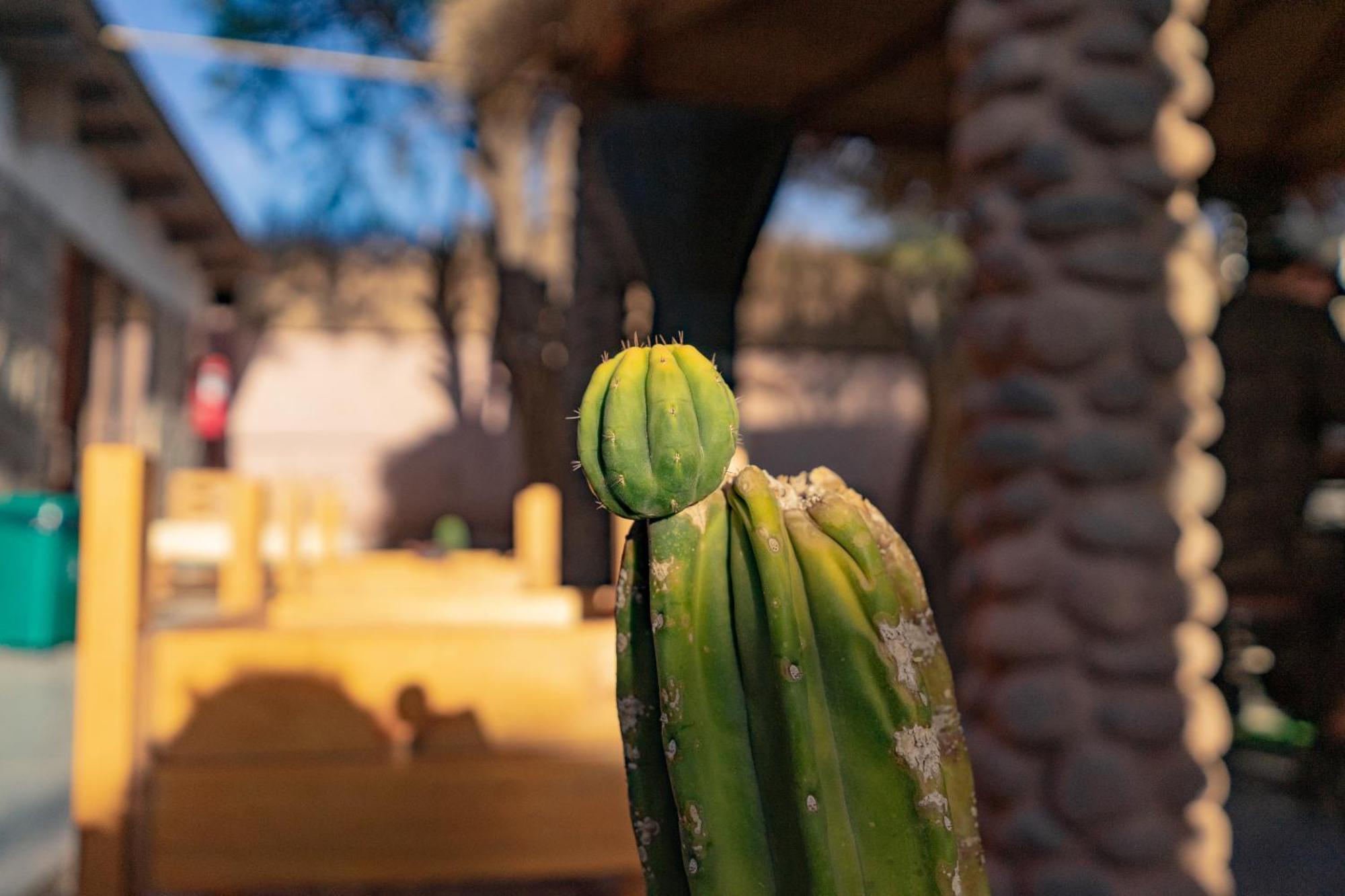 Hostal Katarpe San Pedro De Atacama Zewnętrze zdjęcie